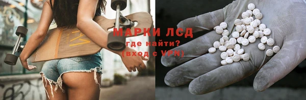 стафф Медвежьегорск