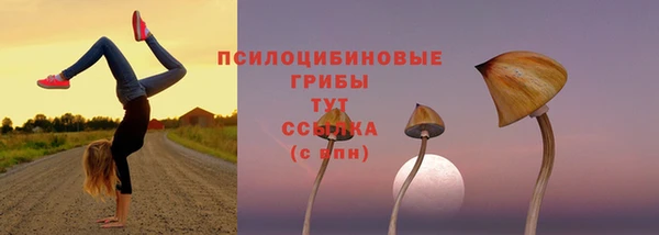 меф Медногорск