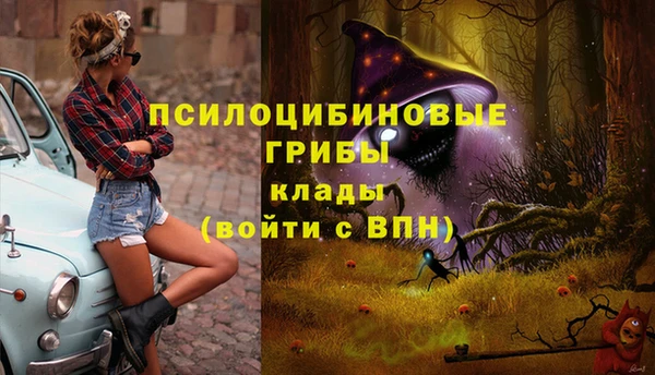 меф Медногорск