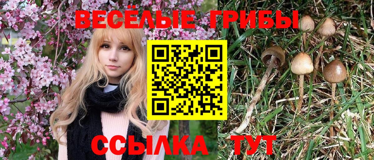 Галлюциногенные грибы Cubensis  Вход с VPN  Кинель  Галлюциногенные грибы мухоморы 